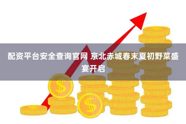 配资平台安全查询官网 京北赤城春末夏初野菜盛宴开启